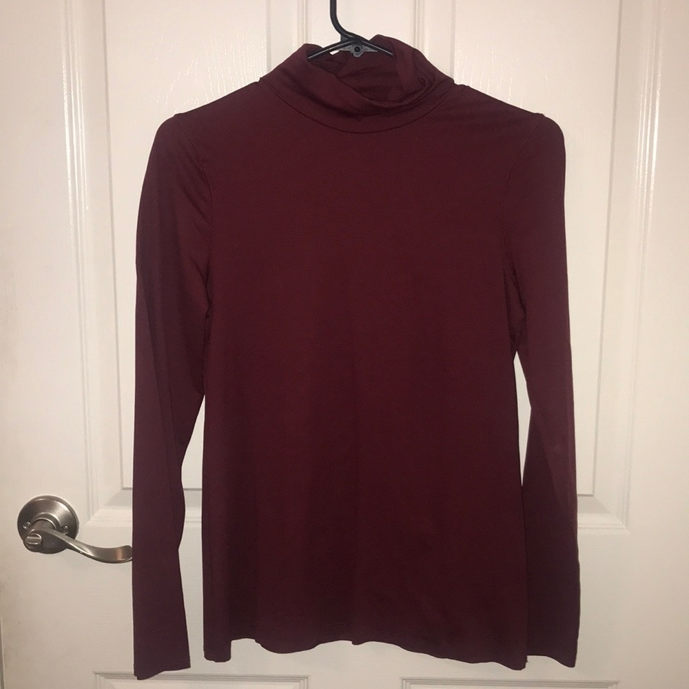 Maroon Zara Turtle Neck
